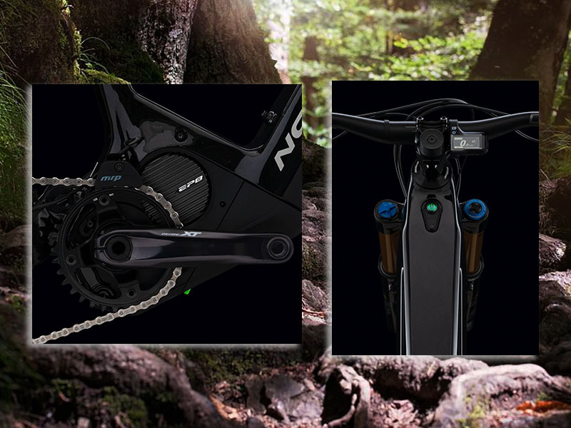 due componenti di bicicletta in primo piano su sfondo naturale, l'immagine e' un bosco.